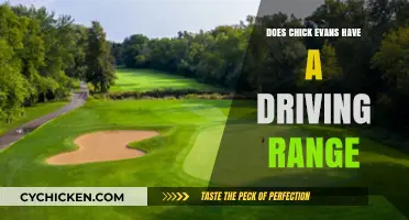 Chick Evans Golf Course: Driving Range Availability and Features Explored