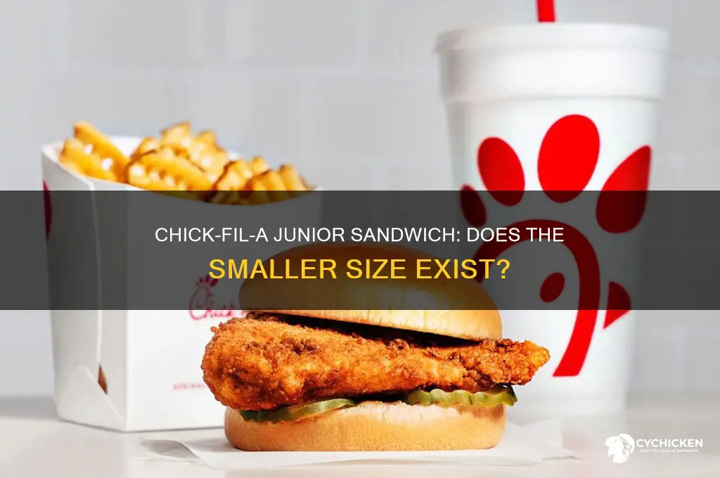 does chick-fil-a have a junior size sandwich
