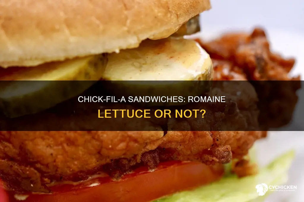 does chick fil a serve romaine lettuce on their sandwiches