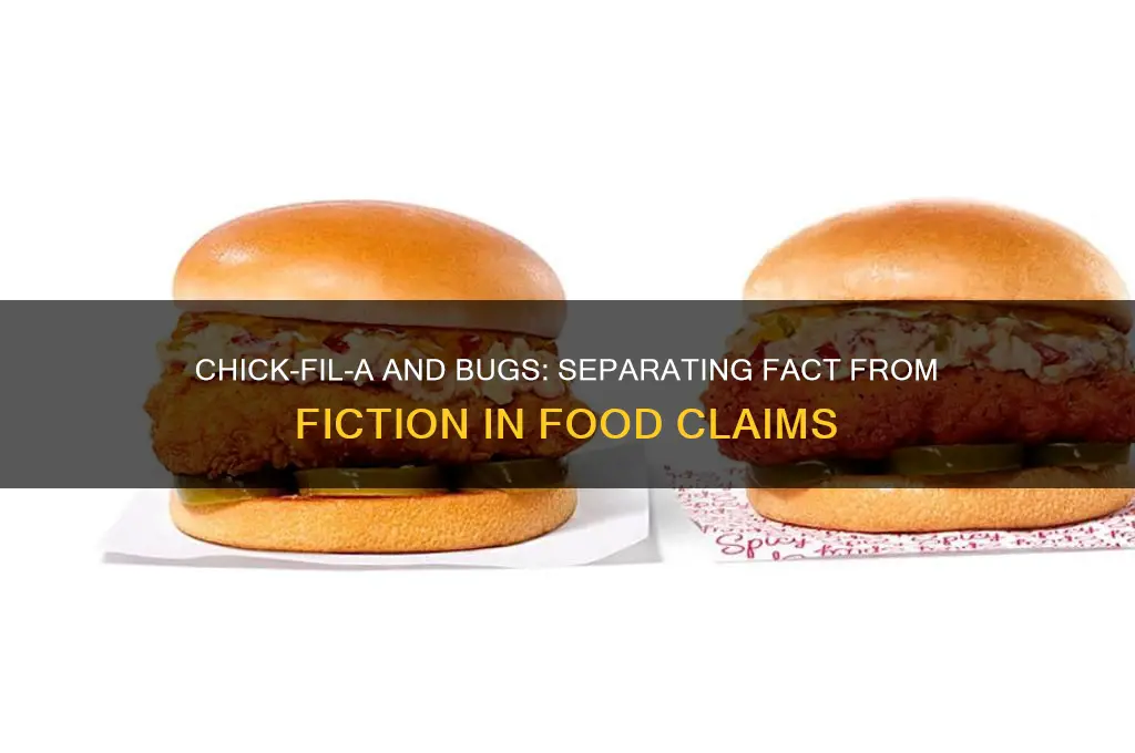 does chick fli a put bugs in food