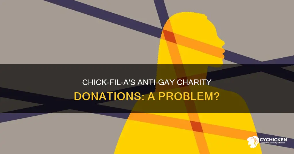 does chick flu a give to anti gay charities