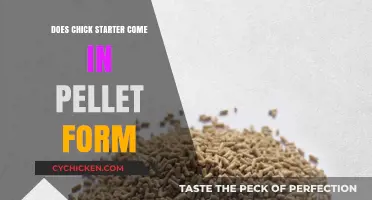 Chick Starter Pellets: Are They Available in Pellet Form?
