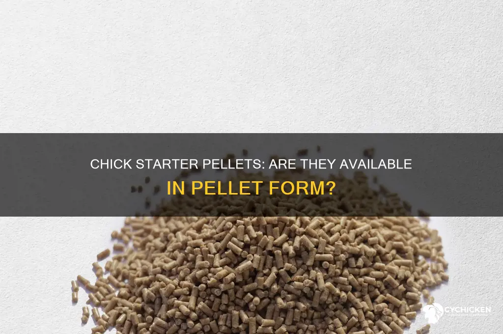 does chick starter come in pellet form