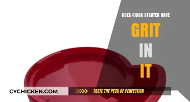 Does Chick Starter Feed Include Grit? Essential Facts for New Breeders