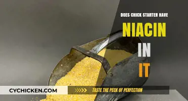 Does Chick Starter Feed Contain Niacin? Essential Nutrient Insights