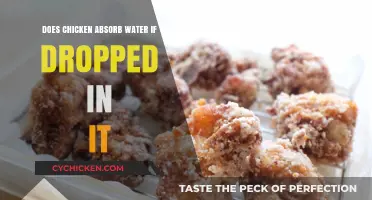 Does Chicken Absorb Water When Submerged? Surprising Facts Revealed