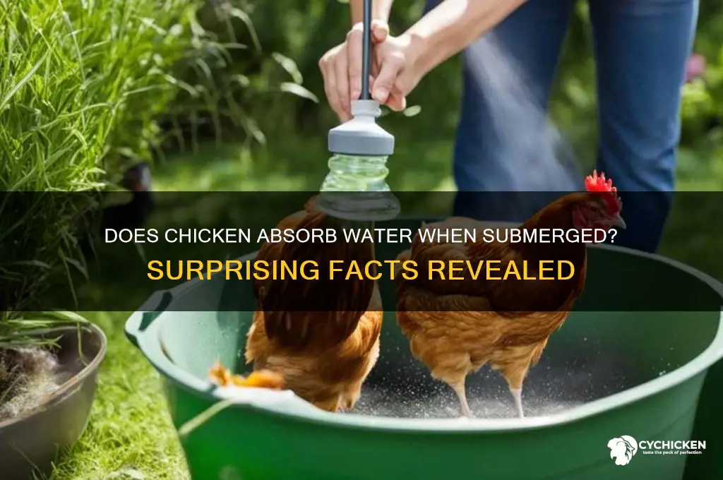 does chicken absorb water if dropped in it