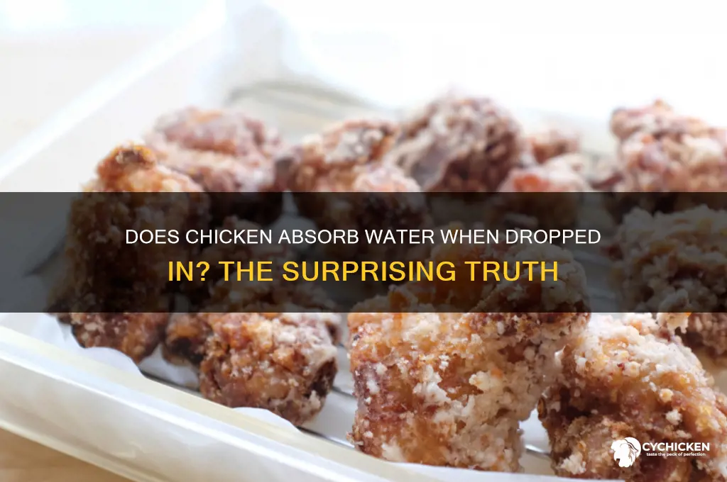 does chicken absorb water if dropped innit