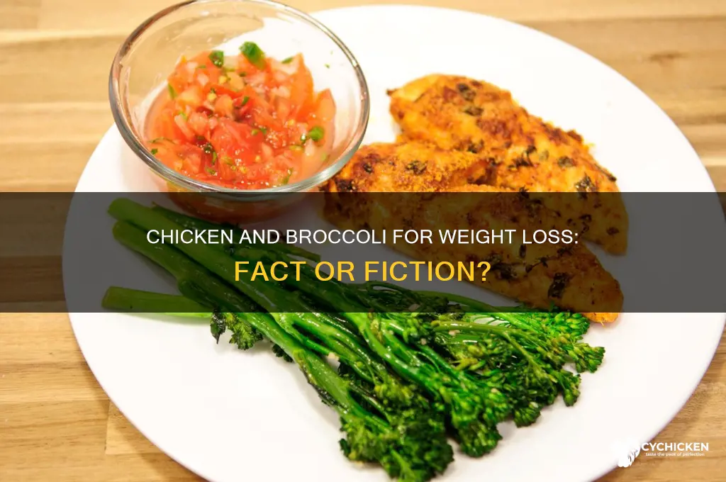 does chicken and broccoli help lose weight