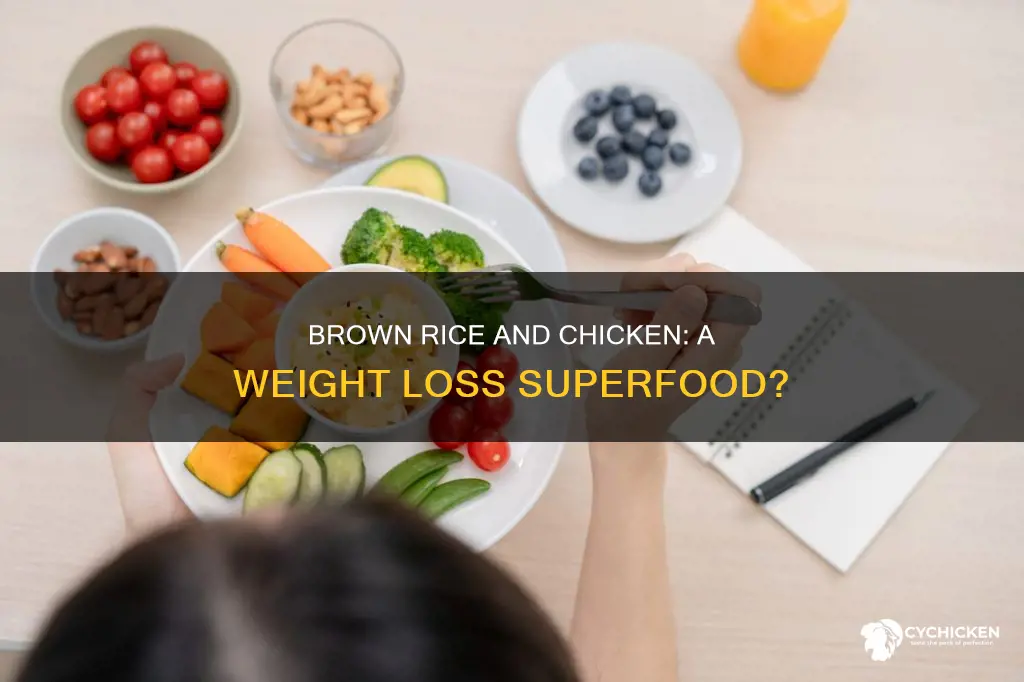 does chicken and brown rice help you lose weight