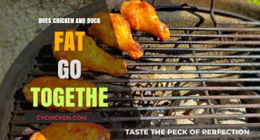 Chicken and Duck Fat: A Flavorful Culinary Match or Mismatch?