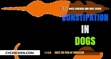 Can Chicken and Rice Lead to Constipation in Dogs?