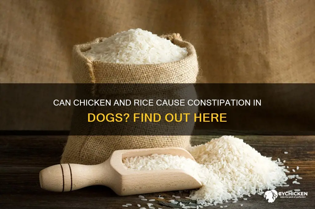 does chicken and rice constipate a dog