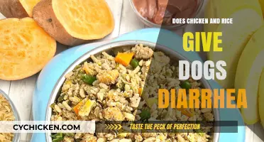 Can Chicken and Rice Cause Diarrhea in Dogs? Facts Revealed
