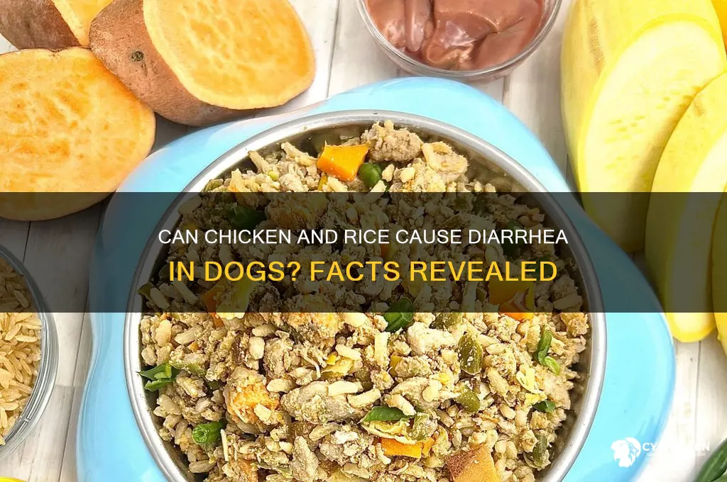 does chicken and rice give dogs diarrhea