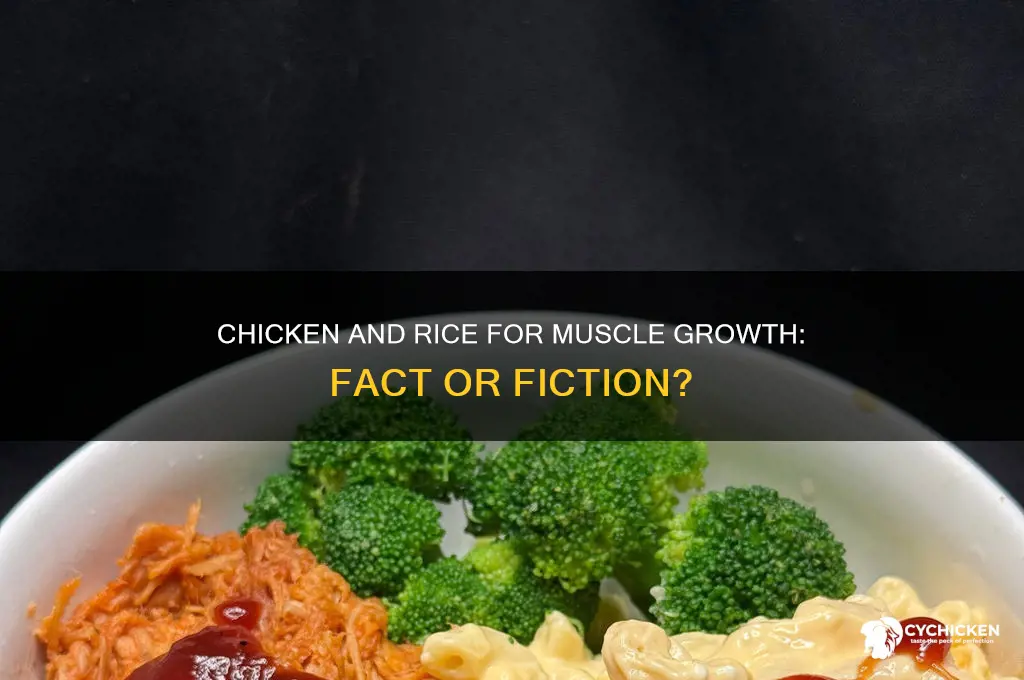 does chicken and rice help build muscle