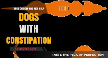 Chicken and Rice for Constipated Dogs: Effective Remedy or Myth?