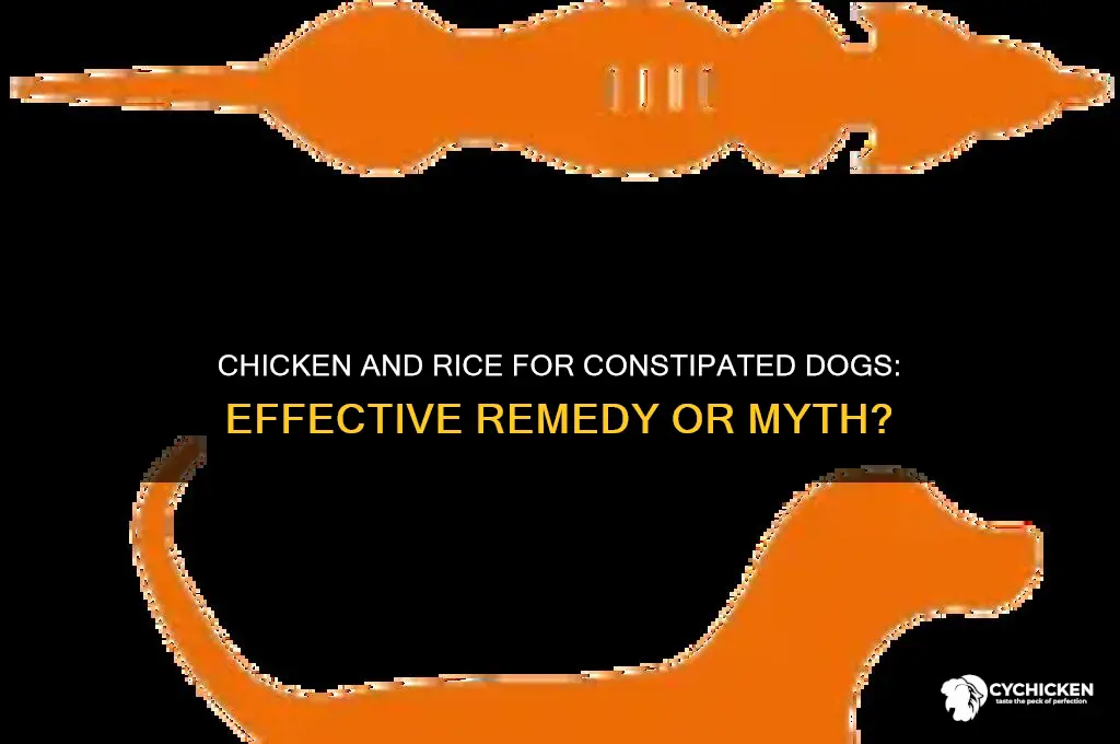 does chicken and rice help dogs with constipation