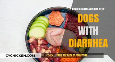 Chicken and Rice for Dogs: Effective Diarrhea Remedy or Myth?