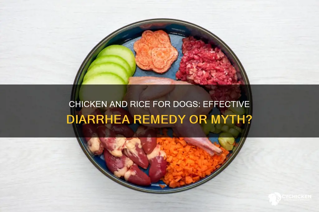 does chicken and rice help dogs with diarrhea