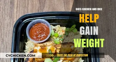 Chicken and Rice for Weight Gain: Fact or Fiction?