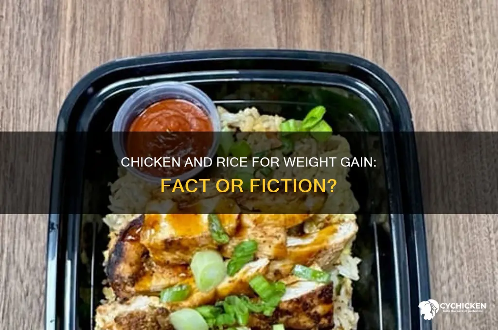 does chicken and rice help gain weight