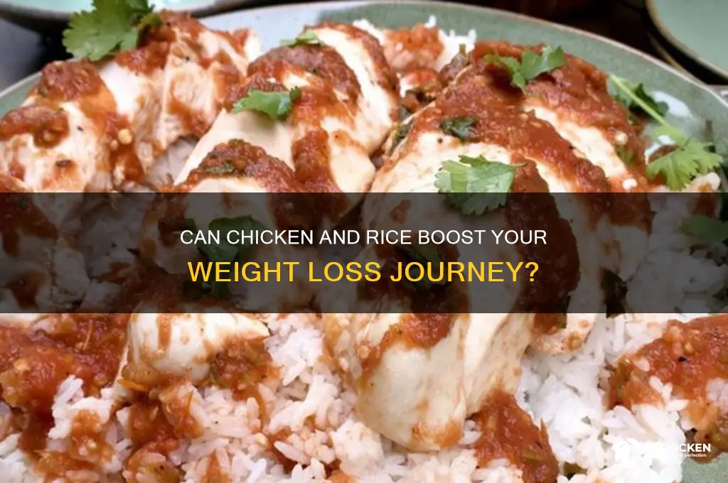 does chicken and rice help lose weight