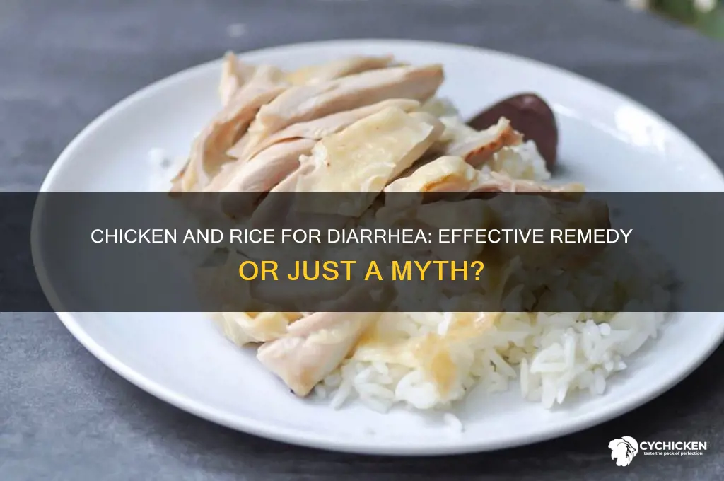 does chicken and rice help with diarrhea