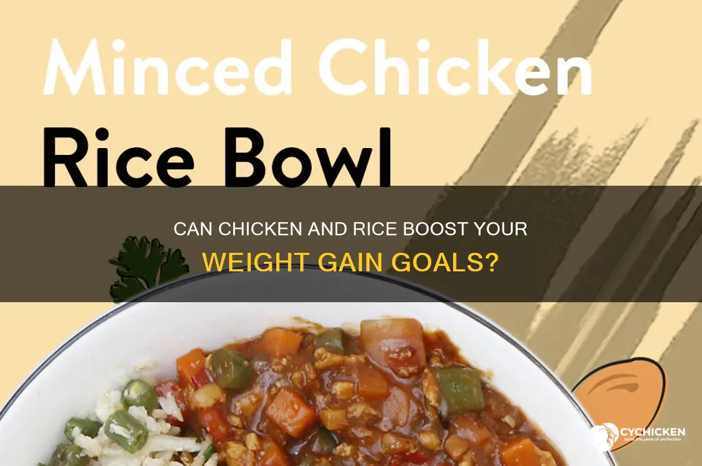 does chicken and rice help you gain weight