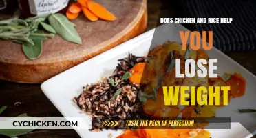 Can Chicken and Rice Boost Your Weight Loss Journey?