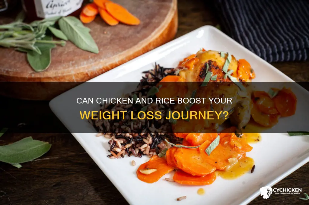 does chicken and rice help you lose weight