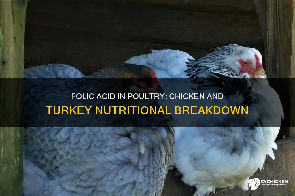 does chicken and turkey have folic acid