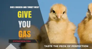 Does Poultry Cause Gas? Uncovering Chicken and Turkey Digestive Effects