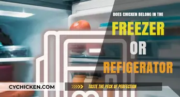 Chicken Storage: Freezer or Fridge? The Ultimate Guide to Freshness