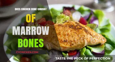 Do Chicken Bones Contain Marrow? Unraveling the Poultry Bone Mystery