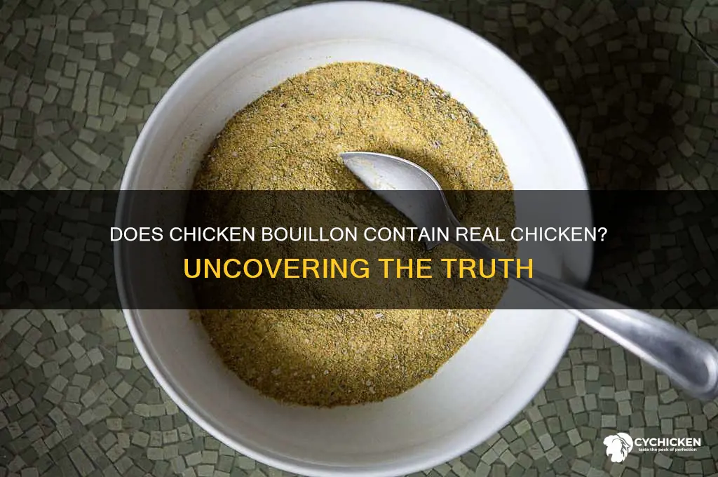 does chicken bouillon have chicken in it