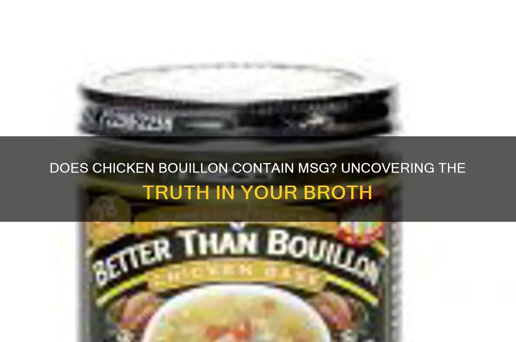 does chicken bouillon have msg in it