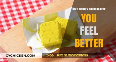 Can Chicken Bouillon Boost Your Mood and Health? Find Out Here