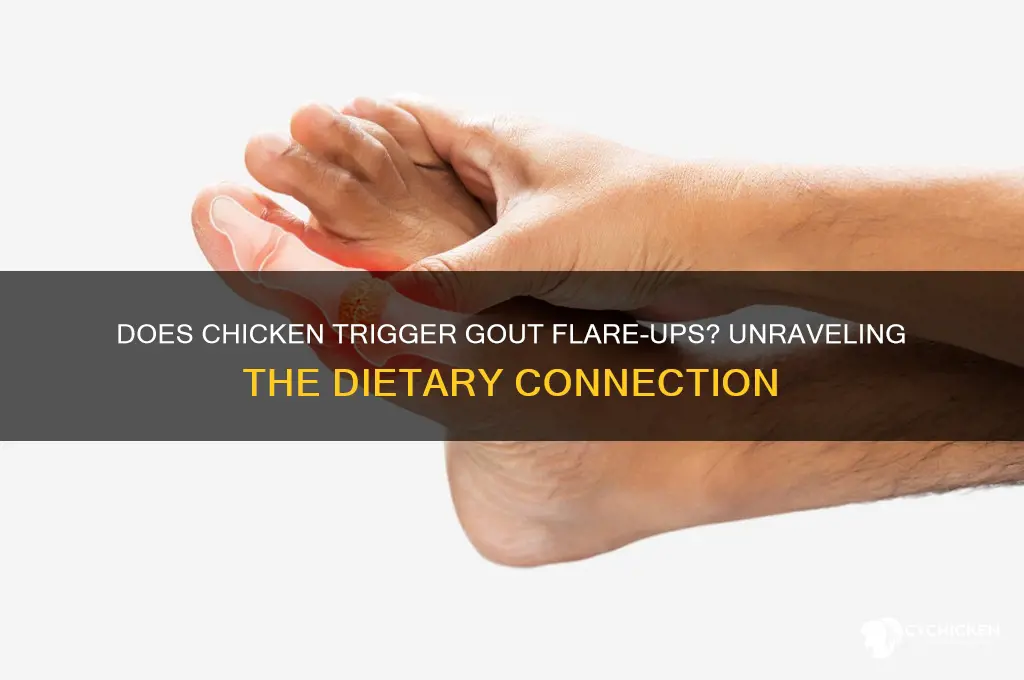 does chicken cause gout to flare up