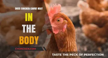 Does Chicken Increase Body Heat? Unraveling the Myth and Facts