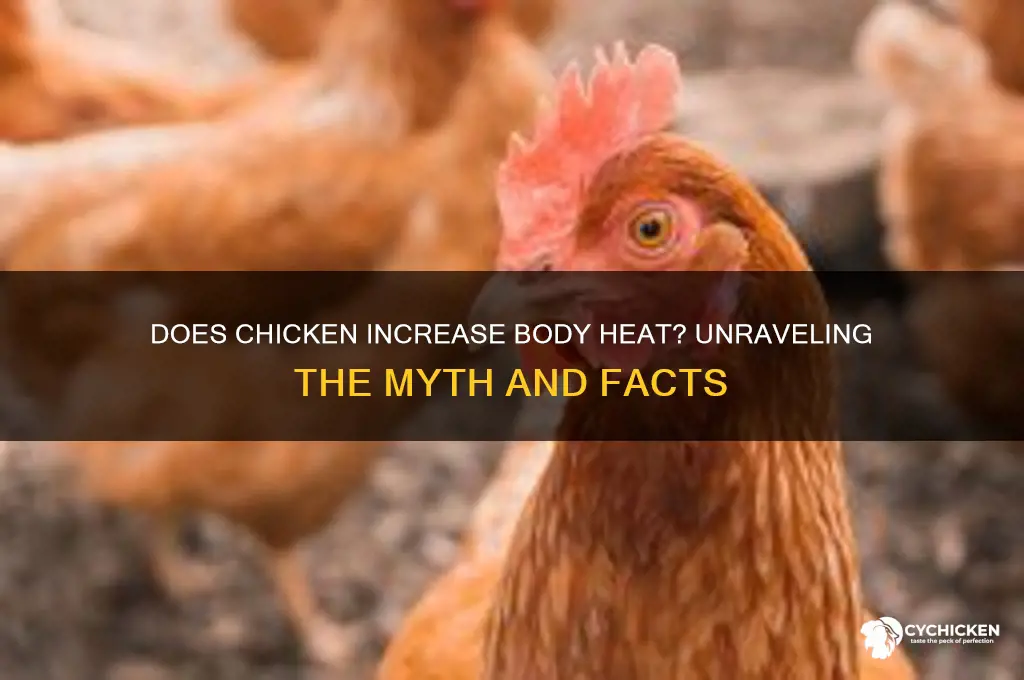 does chicken cause heat in the body