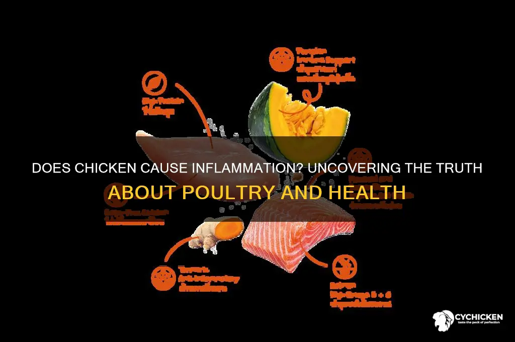 does chicken cause inflammation in the body