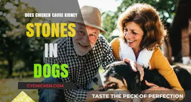 Can Chicken in Dog Diets Lead to Kidney Stones?