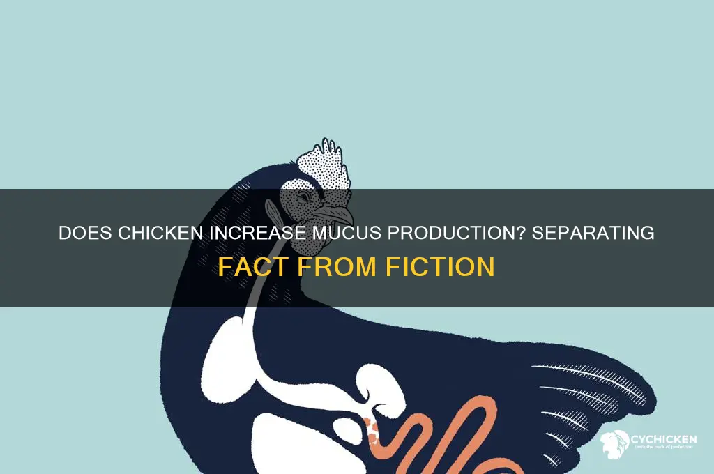 does chicken cause mucus in the body
