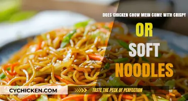 Chicken Chow Mein: Crispy or Soft Noodles?