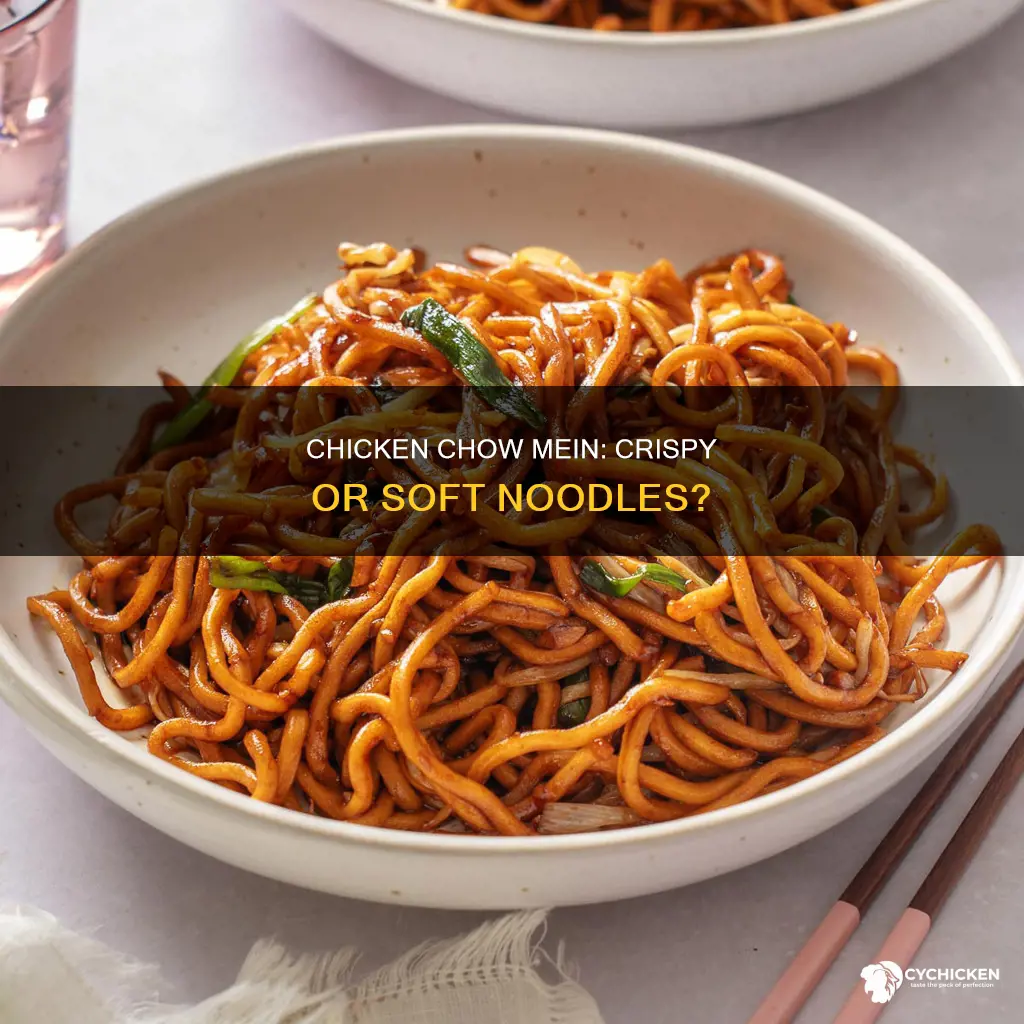 does chicken chow mein come with crispy or soft noodles