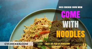 Does Chicken Chow Mein Include Noodles? Unraveling the Dish's Components
