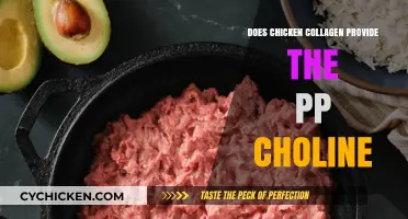 Chicken Collagen and Choline: Uncovering the PPC Connection