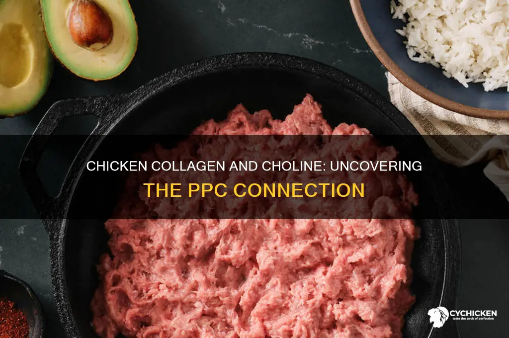 does chicken collagen provide the pp choline