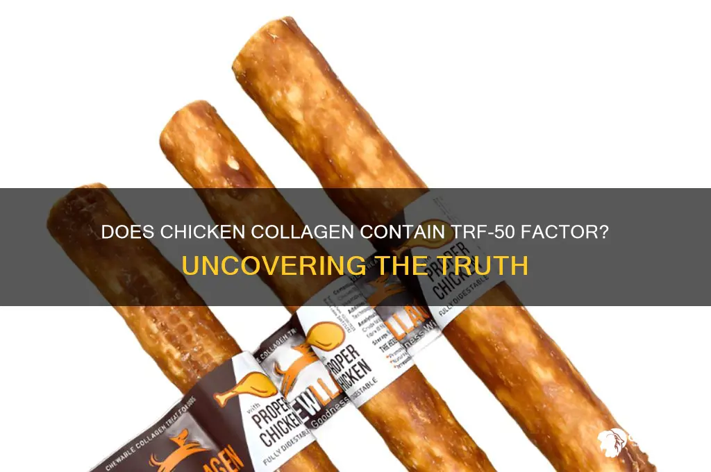 does chicken collegen contain trf-50 factor